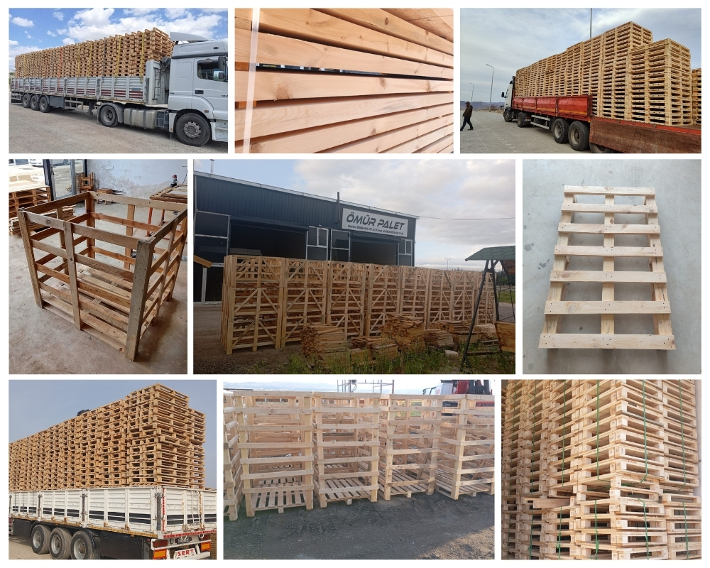 Brussels Houten Kisten, Europallets Groothandel Kopen